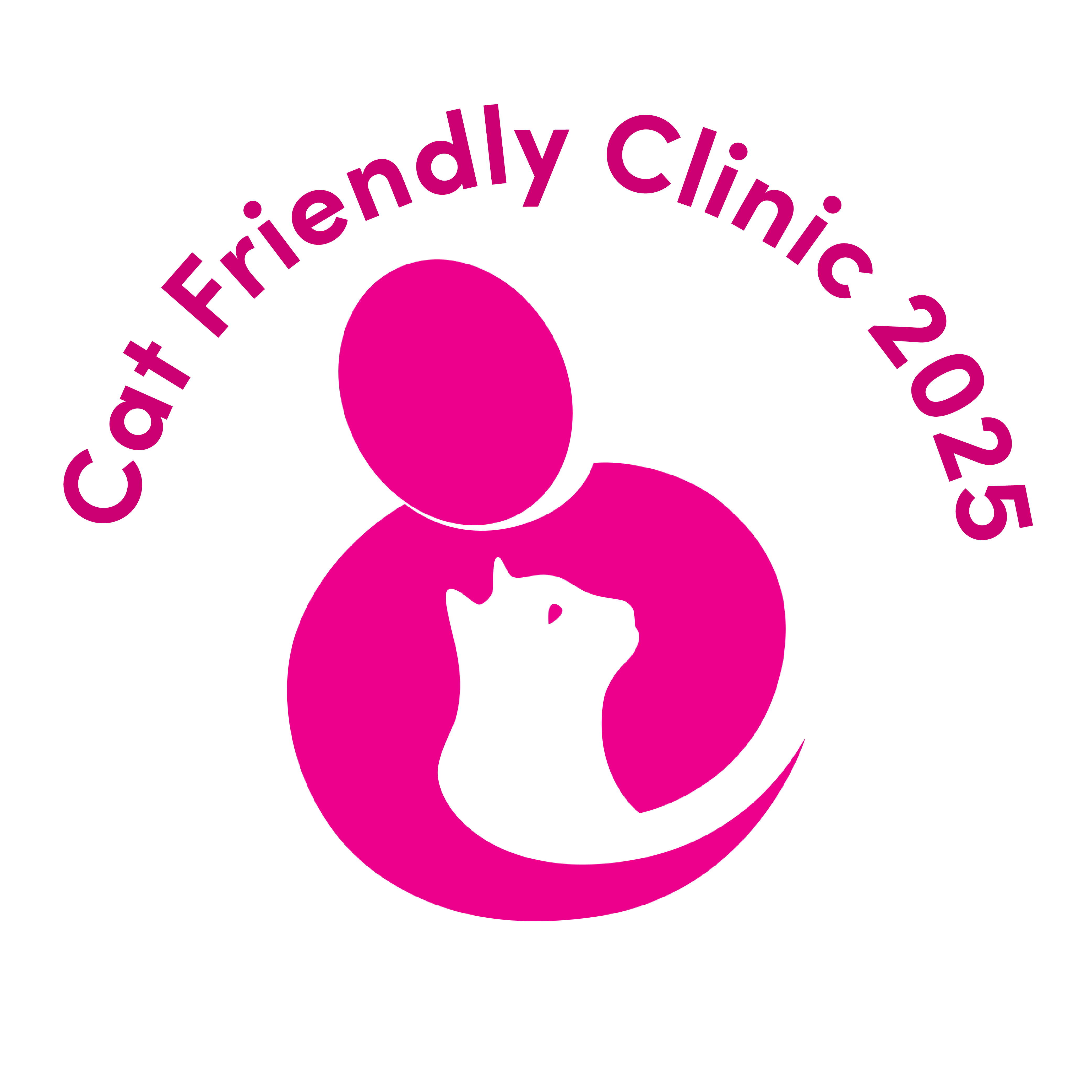 Cat Friendly Clinic 2025 Logo
